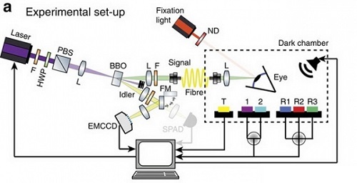 201608011470036716153752.jpg 33.jpg